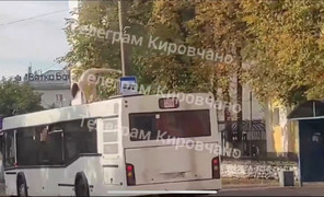 Город киров - 343 лучших порно видео