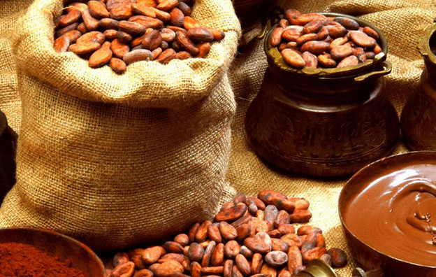 История шоколадного дела от майя до наших дней