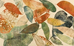 Краски осени