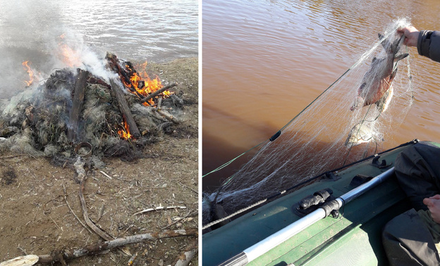 В поисках «золотой» рыбки. Как активисты борются с браконьерами на водоёмах Кировской области