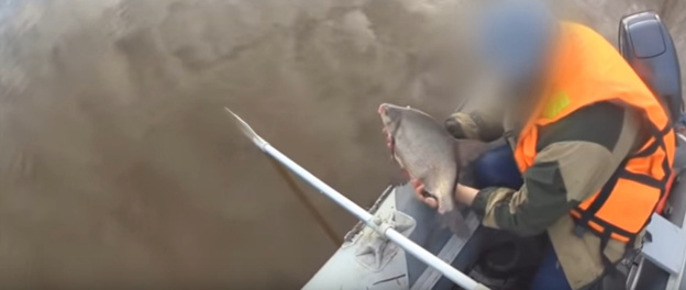 В поисках «золотой» рыбки. Как активисты борются с браконьерами на водоёмах Кировской области