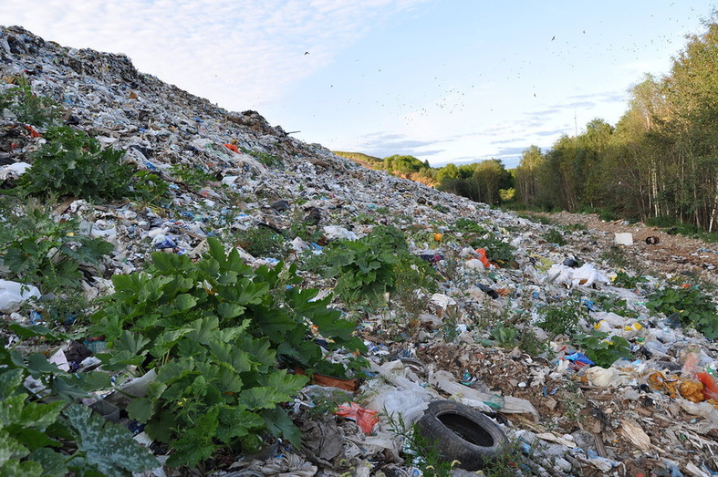 Посёлок за мусорной горой. Каково это - жить рядом с гигантской свалкой в Костино