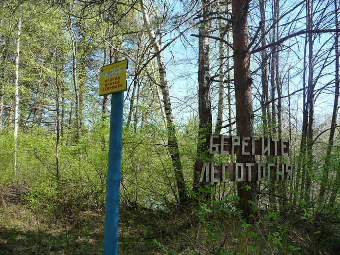 Край озёр и лесов. Чем интересен первый и единственный заповедник Кировской области