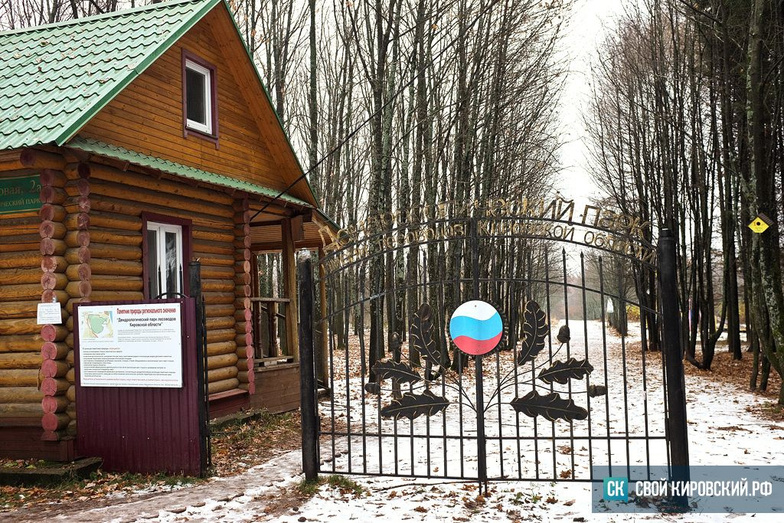 Кировский дендропарк. Как он мог преобразиться и как выглядит сейчас