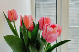 Кировские синоптики поделились прогнозом на начало весны