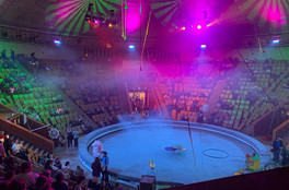 В кировском цирке отремонтируют гостиницу для гастролёров