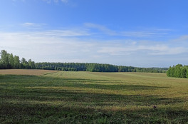 Кировская область стала лидером среди северных регионов по производству сельхозпродукции