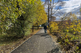 В Госдуме предложили сократить рабочую пятницу для женщин на два часа с сохранением зарплаты