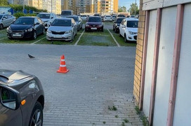 В Кирове водитель «Хавала» сбил велосипедиста