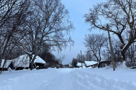 В Кировской области нашли блох в снегу