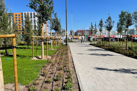 Специалисты Кирова и Астаны обменялись опытом озеленения городов