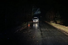 В Верхошижемском районе водитель врезался в дерево