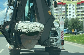 В Кирове заметили погрузчик, полный ромашек