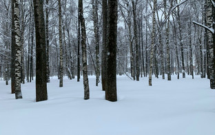 Какая погода будет в Кирове с 23 февраля по 1 марта?