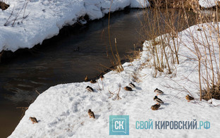 Какая погода будет в Кирове с 6 по 12 апреля?