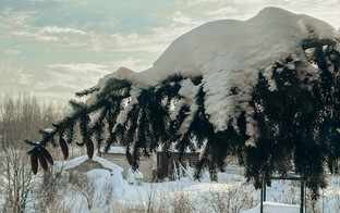 Какая погода будет в Кирове с 26 января по 1 февраля?