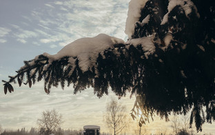 Какая погода будет в Кирове с 19 по 25 января?