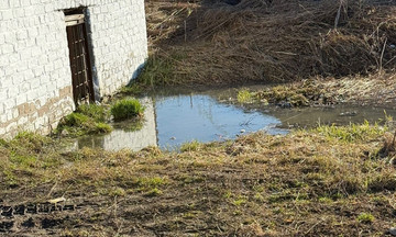 Жители Подосиновца платят за канализацию, но отходы всё равно текут в реку