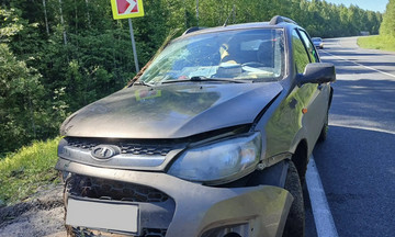 В Орловском районе «Лада Калина» съехала в кювет