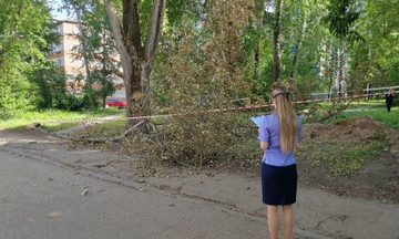 Упавшая ветка дерева убила ребёнка в Кирово-Чепецке
