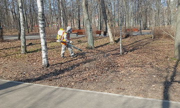 Администрация Кирова защитит горожан от клеща