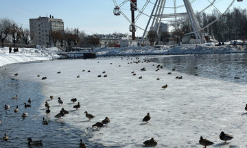 Известен прогноз погоды на весенне-летний период в Кировской области
