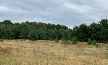 В Кировской области участникам СВО хотят давать землю