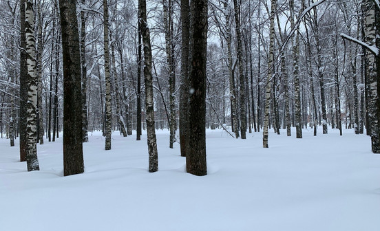 Предприятие под Кировом остановило сброс сточных вод после вмешательства