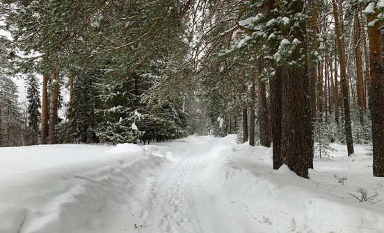 Под Кирово-Чепецком пенсионер застрелил зверя без разрешения