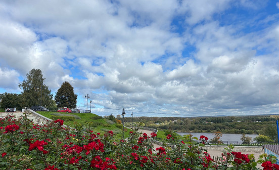 Стали известны масштабы озеленения Кирова на 2026 год