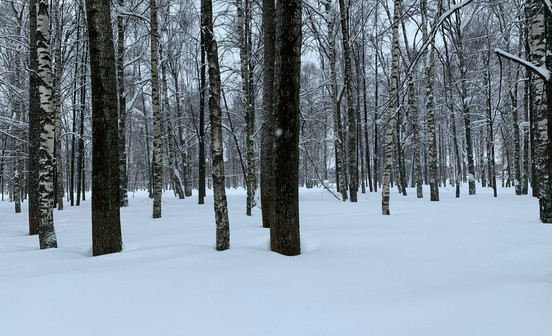 Сильные снегопады ждут Кировскую область в ближайшие дни
