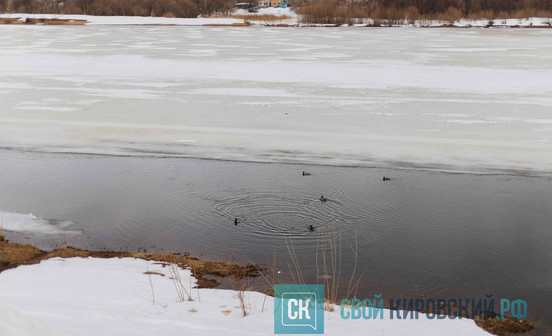 Вода в Вятке продолжает подниматься