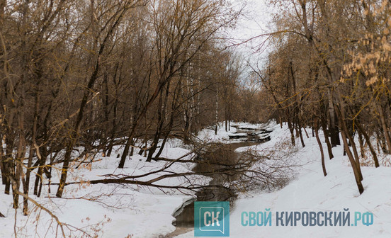 В Кирове нашли тело женщины, пропавшей 5 марта