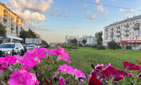 День семьи, любви и верности: программа мероприятий в Кирове
