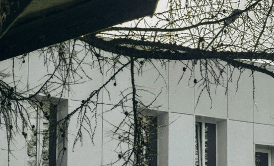 В Шабалино зафиксировали +15 С