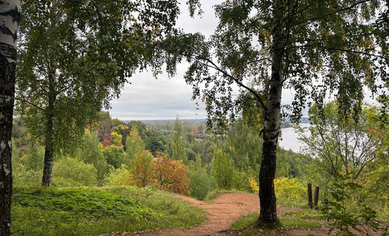 В Кировской области восстановят 39 тысяч гектаров леса