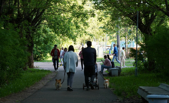 В Кировской области трехкомнатные квартиры за год подешевели на 2,1%