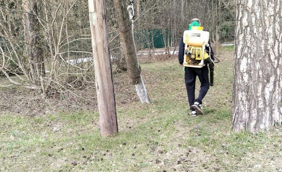 В Первомайском районе Кирова начали обрабатывать территории от клещей
