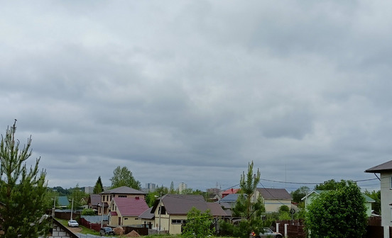 В Кировской области собрали 20 тонн огурцов с гектара