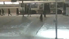 В Кирове 11-летней школьнице зажало голову в автобусе