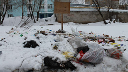 «Пока жители не видят улучшений»: ОНФ проверил жалобы кировчан на мусорную реформу