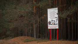 В Нолинском округе сохраняется высокая пожарная опасность в лесах