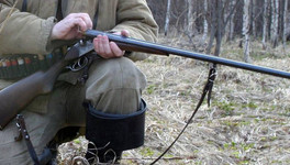 Кировские охотники пять раз незаконно добыли лося и кабана