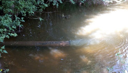 Специалисты подтвердили загрязнение реки Чахловицы в Лянгасово