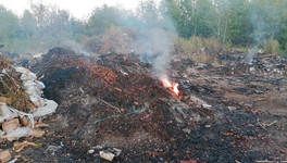 Администрация Котельнича заявила, что распоряжений по сжиганию свалки не давала