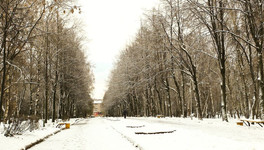 В Кирове объявили метеопредупреждение из-за аномально холодной погоды