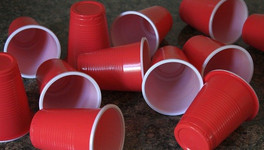 Депутат Госдумы призвал отказаться от пластиковой посуды