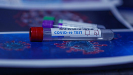 В Кировской области число заразившихся коронавирусом выросло до 2 137 человек