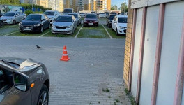 В Кирове водитель «Хавала» сбил велосипедиста
