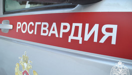 Росгвардейцы в Кирово-Чепецке отдали полицейским трёх сбежавших из детдома подростков